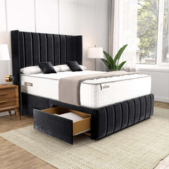 Black Plush Velvet
