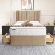 Prague Wingback Divan Bed