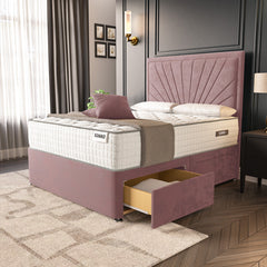 Pink Plush Velvet