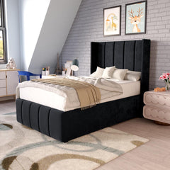 Black Plush Velvet