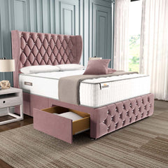 Pink Plush Velvet