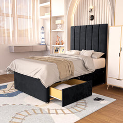 Black Plush Velvet