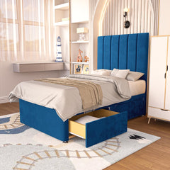 Blue Plush Velvet