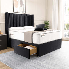 Black Plush Velvet