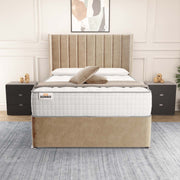 Prague Wingback Divan Bed