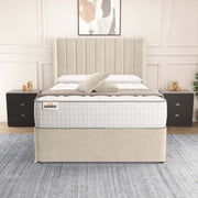 Prague Wingback Divan Bed