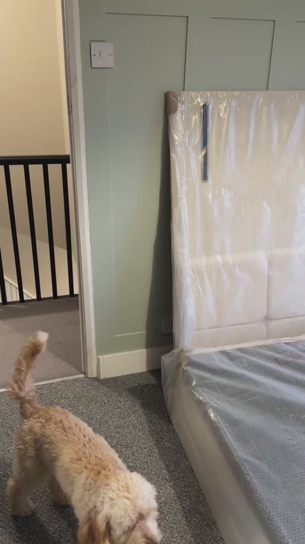 Customer video